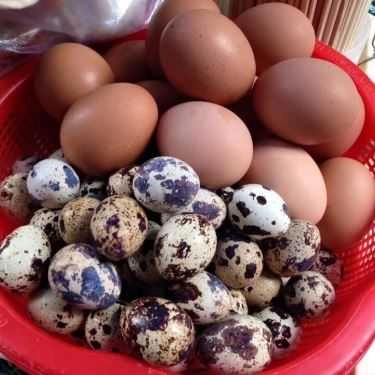 Tổng hợp- Ăn vặt Bánh Tráng Trộn Cô Tiên