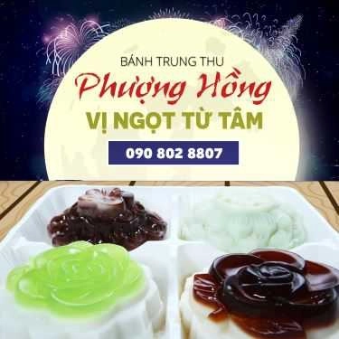 Tổng hợp- Shop online Phượng Hồng - Bánh Trung Thu Rau Câu Gia Truyền