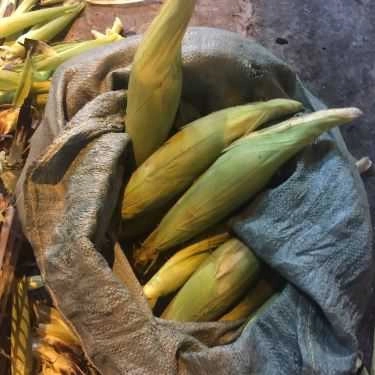 Món ăn- Ăn vặt Bắp Nướng Mỡ Hành Vỉa Hè