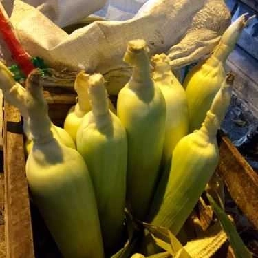 Tổng hợp- Ăn vặt Bắp Nướng Mỡ Hành Vỉa Hè