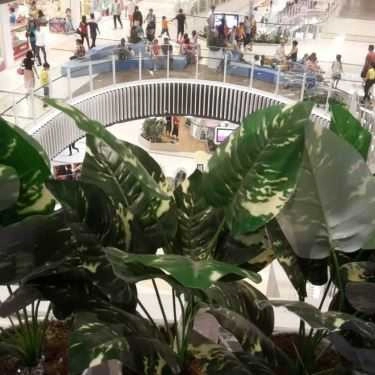 Tổng hợp- Cafe Baskin Robbins - Aeon Mall Bình Tân