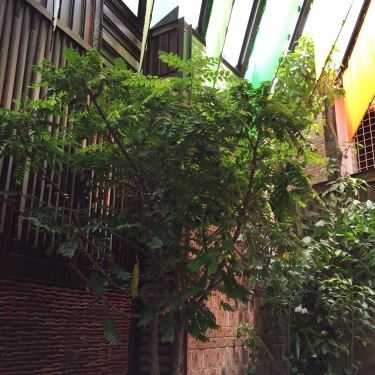 Tổng hợp- Bason Cafe - The Myst Dong Khoi Hotel