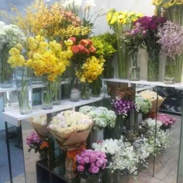 Tổng hợp- BD Florist & Flower Coffee - Cafe Hoa Cưới Nhỏ Xinh
