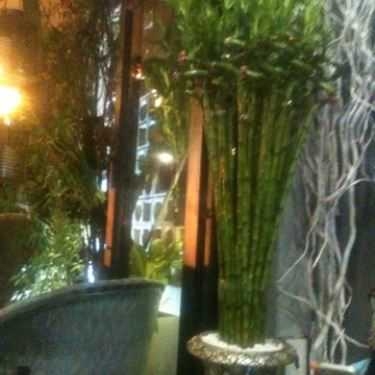 Tổng hợp- BD Florist & Flower Coffee - Cafe Hoa Cưới Nhỏ Xinh