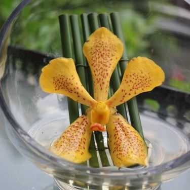 Tổng hợp- BD Florist & Flower Coffee - Cafe Hoa Cưới Nhỏ Xinh