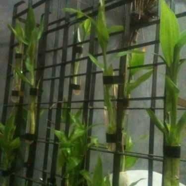 Tổng hợp- BD Florist & Flower Coffee - Cafe Hoa Cưới Nhỏ Xinh