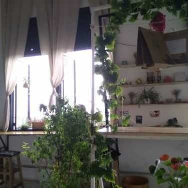 Không gian- Beauty Coffee House