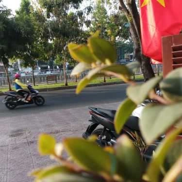 Tổng hợp- Bee's Coffee - 674 Trường Sa
