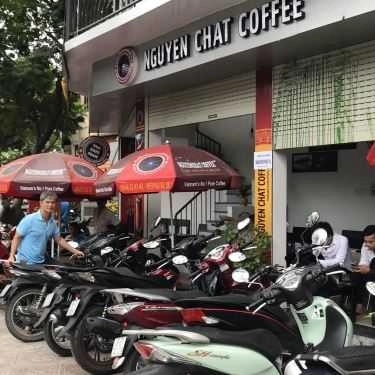 Tổng hợp- Bee's Coffee - 674 Trường Sa