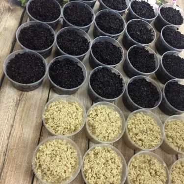 Món ăn- Shop online Bếp Mẹ Nấm - Ăn Vặt Online