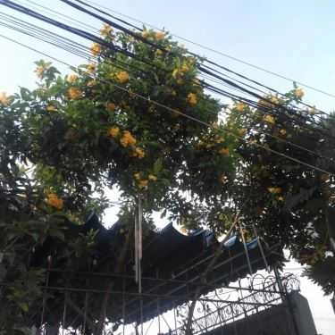 Tổng hợp- Bi Em Coffee