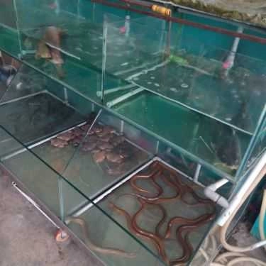Tổng hợp- Quán Nhậu Bia Hơi Hà Nội Bắc Việt