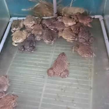 Tổng hợp- Quán Nhậu Bia Hơi Hà Nội Bắc Việt