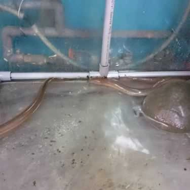 Tổng hợp- Quán Nhậu Bia Hơi Hà Nội Bắc Việt
