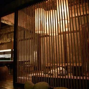 Tổng hợp- Cafe Bingfa Village - Coworking Space & Social Club