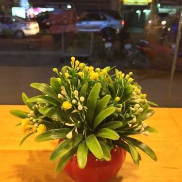 Tổng hợp- Cafe Bingsu - Bingsuya