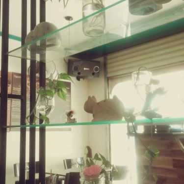Tổng hợp- Bioca Cafe - Phan Xích Long