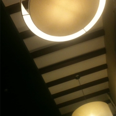 Tổng hợp- Birdlove Cafe - Nguyễn Hữu Cầu