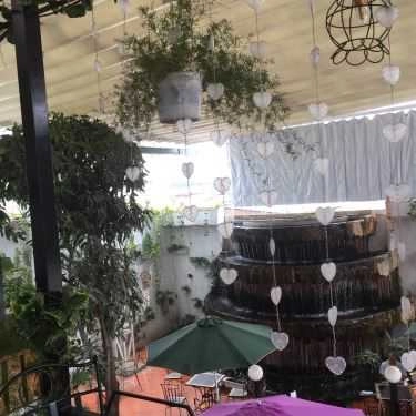 Tổng hợp- Bliss Garden Coffee