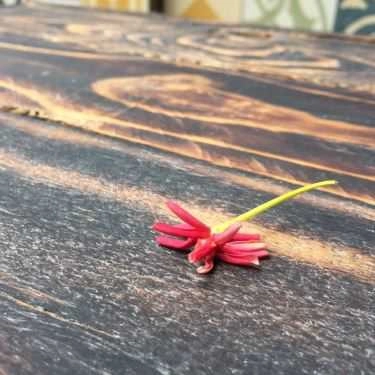 Tổng hợp- BOB Coffee