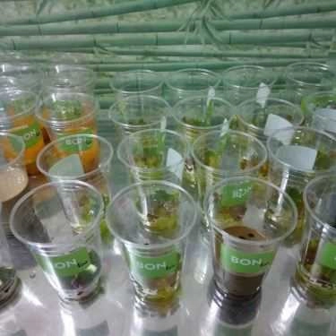 Món ăn- Cafe Bon Tea - Trà Sữa & Ăn Vặt