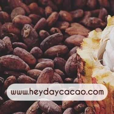 Tổng hợp- Heyday Cacao - Lê Trung Nghĩa - Shop Online