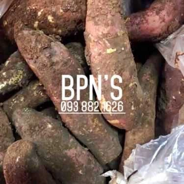 Tổng hợp- BPN’s - Khô Gà, Bánh Tráng & Cơm Cháy - Shop Online