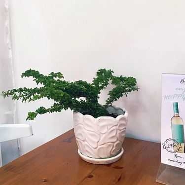 Tổng hợp- Breathe Coffee & Tea