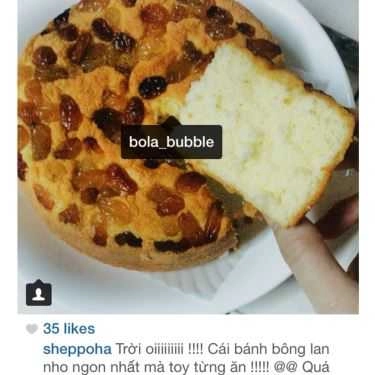 Tổng hợp- Shop online Bubble - Bánh Bông Lan Bơ Nho