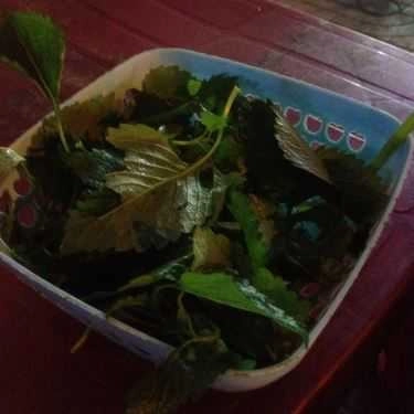 Tổng hợp- Ăn vặt Bún Riêu Cua Hẻm 404 - Nguyễn Đình Chiểu