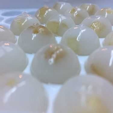 Tổng hợp- Cafe BuzZ Tea - Bánh Ngon & Trà Thơm