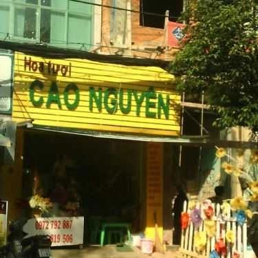 Tổng hợp- Hoa cưới, shop hoa Hoa Tươi Cao Nguyên - Hoàng Hoa Thám