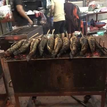 Tổng hợp- Quán Nhậu Cá Lóc Nướng - Nhậu Bình Dân