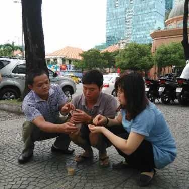 Tổng hợp- Café Bồ Câu Vỉa Hè Nhà Thờ Đức Bà