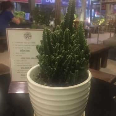 Tổng hợp- Cà Phê Chồn - Tân Quý
