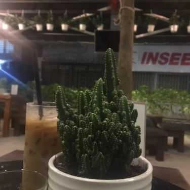Tổng hợp- Cà Phê Chồn - Tân Quý