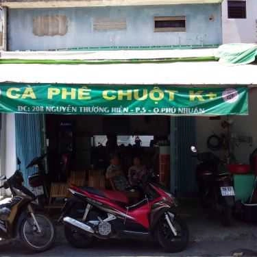 Tổng hợp- Cà Phê Chuột K+
