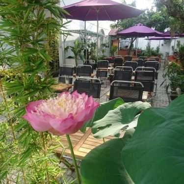 Không gian- Lan Rừng Cafe