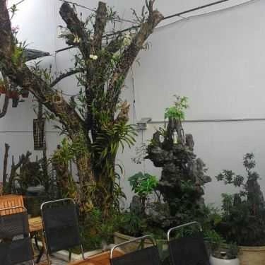 Không gian- Lan Rừng Cafe