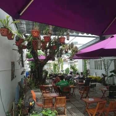 Không gian- Lan Rừng Cafe