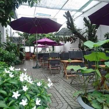 Không gian- Lan Rừng Cafe
