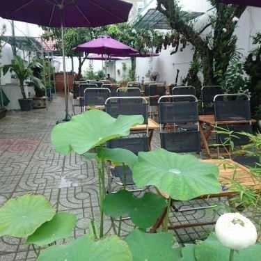 Tổng hợp- Lan Rừng Cafe