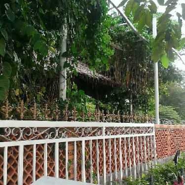 Tổng hợp- Phố Xinh Cafe - Đường 38
