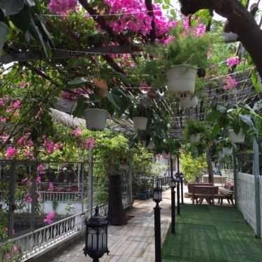 Không gian- Thanh Trà Cafe Sân Vườn
