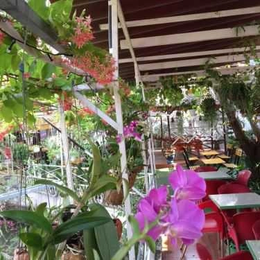 Tổng hợp- Thanh Trà Cafe Sân Vườn