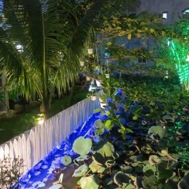 Tổng hợp- Sen Cafe - Quốc Lộ 13 Cũ