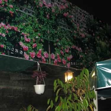 Tổng hợp- Sen Cafe - Quốc Lộ 13 Cũ