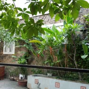 Tổng hợp- Vườn Lan Coffee