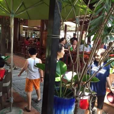 Tổng hợp- Vườn Thiên Tuế Cafe