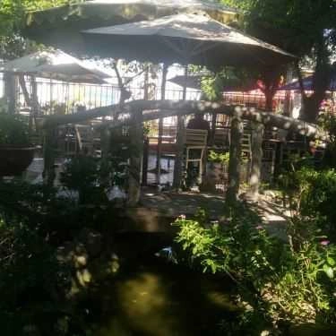 Không gian- Vườn Xanh Cafe - Trần Thị Bốc